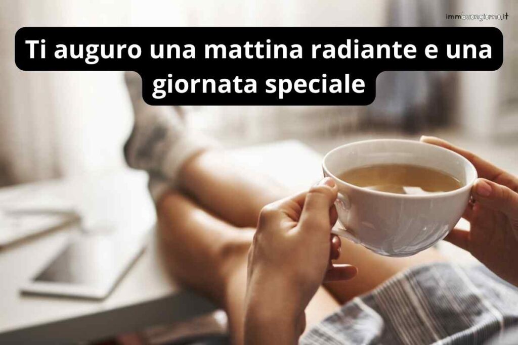 Buon martedì | 12 Dicembre 2023: frasi e immagini gratis per il tuo buongiorno