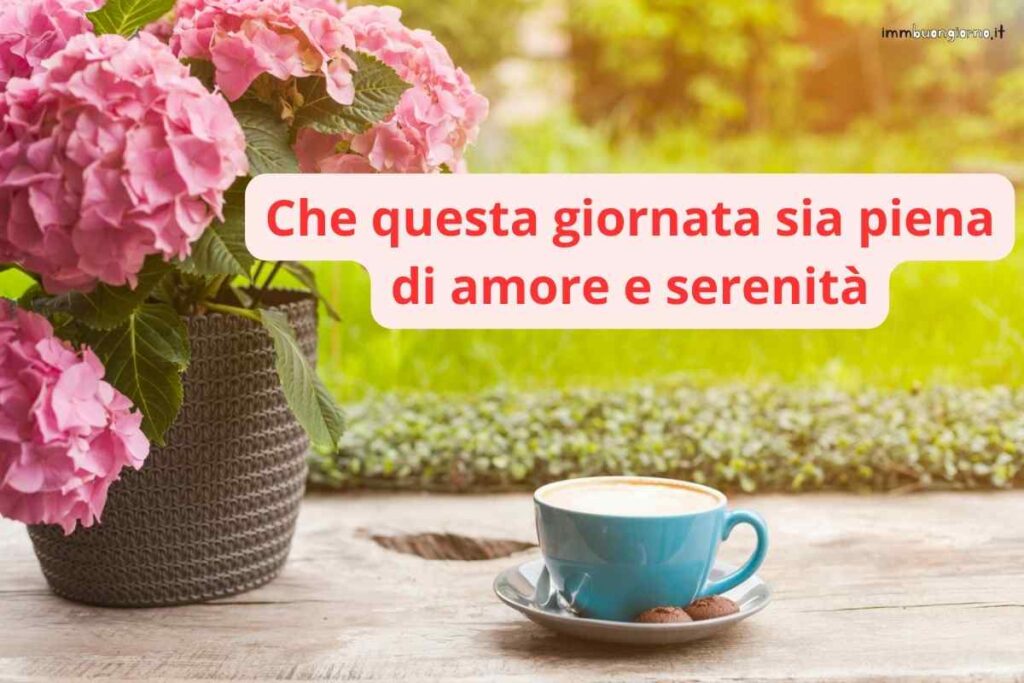Buona domenica | 17 Dicembre 2023: frasi e immagini gratis per il tuo buongiorno